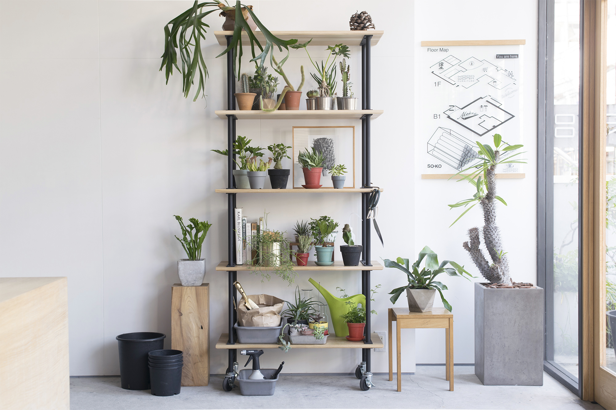 【BUILD RACK】特別なひと棚 植物編│オーダー家具と無垢天板 東京 WOODWORK