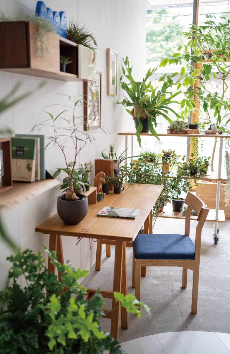 家具と植物